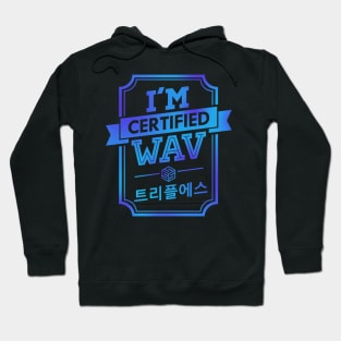 Certified tripleS WAV Hoodie